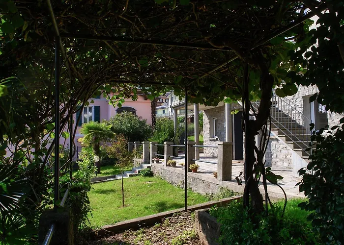 Jolie - By Myhomeincomo