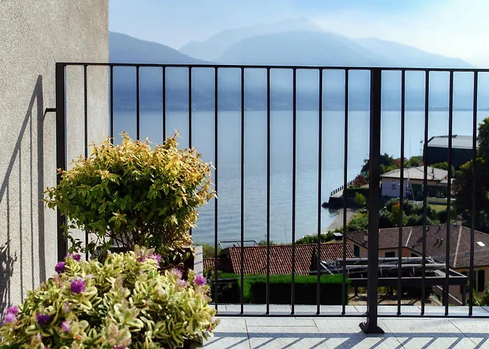 Jolie - By Myhomeincomo